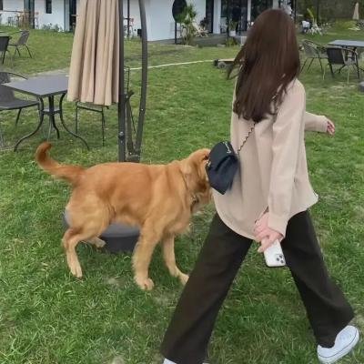 啦啦队之舞